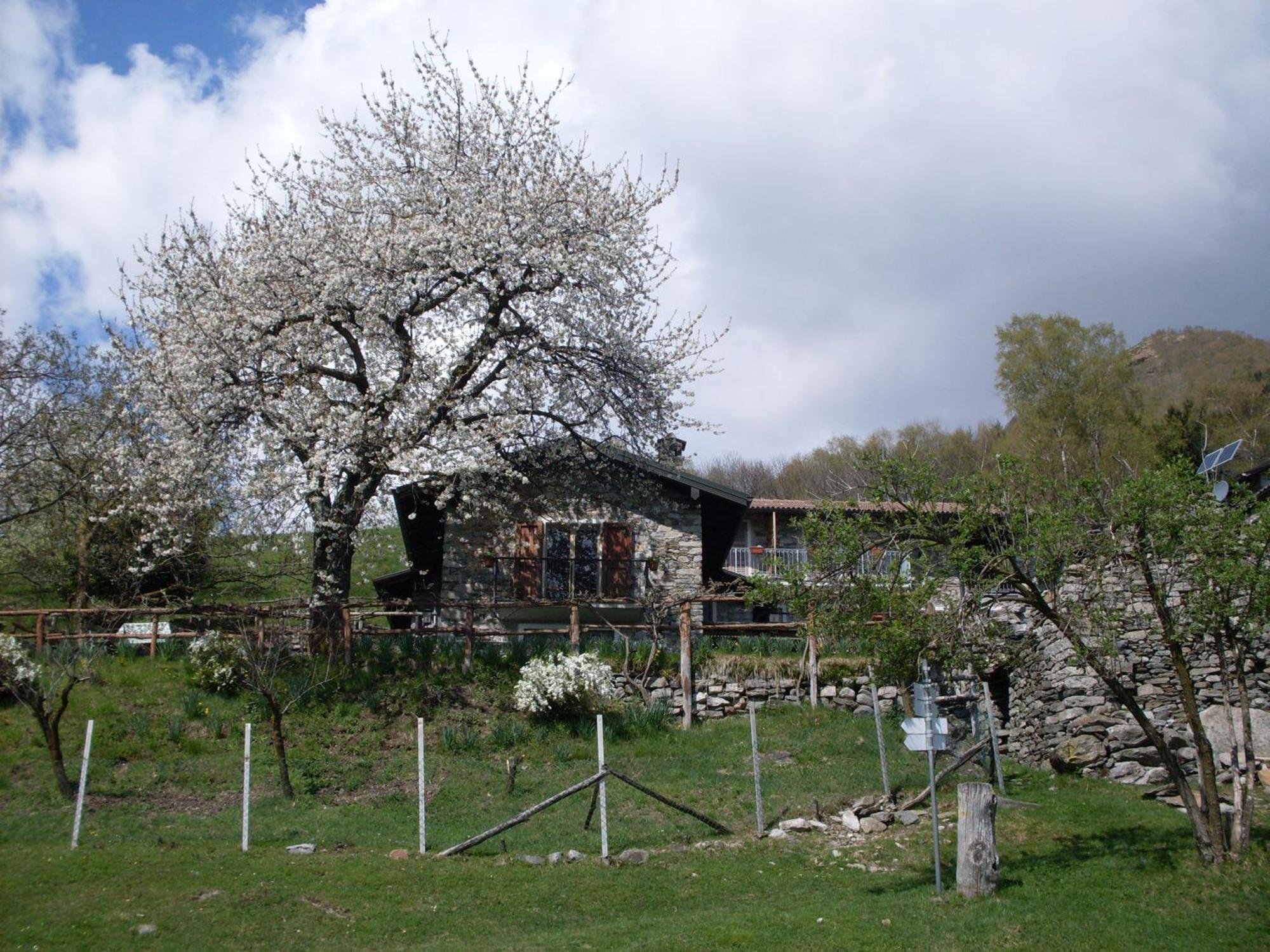 Agriturismo Da Attilio Cannobio Extérieur photo