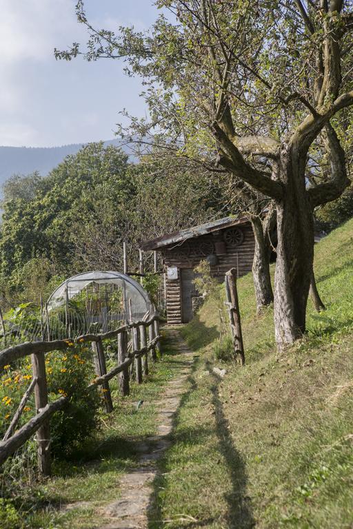 Agriturismo Da Attilio Cannobio Extérieur photo