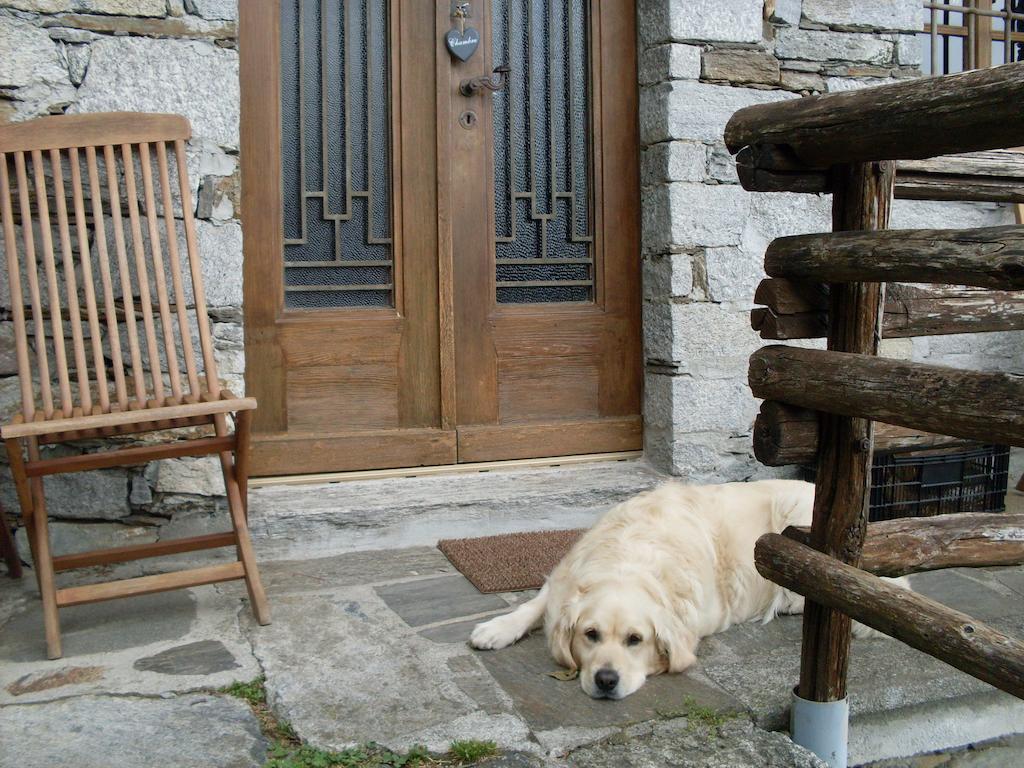 Agriturismo Da Attilio Cannobio Chambre photo